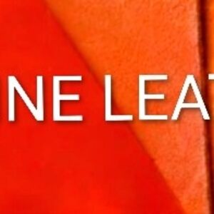 Vibrant Orange Leather Jacket